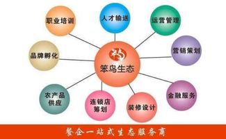 笨鳥生態 深圳餐飲咨詢與顧問領域的創新飛翔